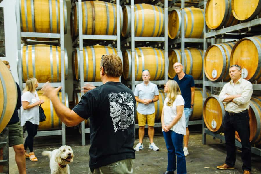 Hunter Valley: Wine, Spirits, and Cheese Tour with Lunch - Lunch with wine or beer included