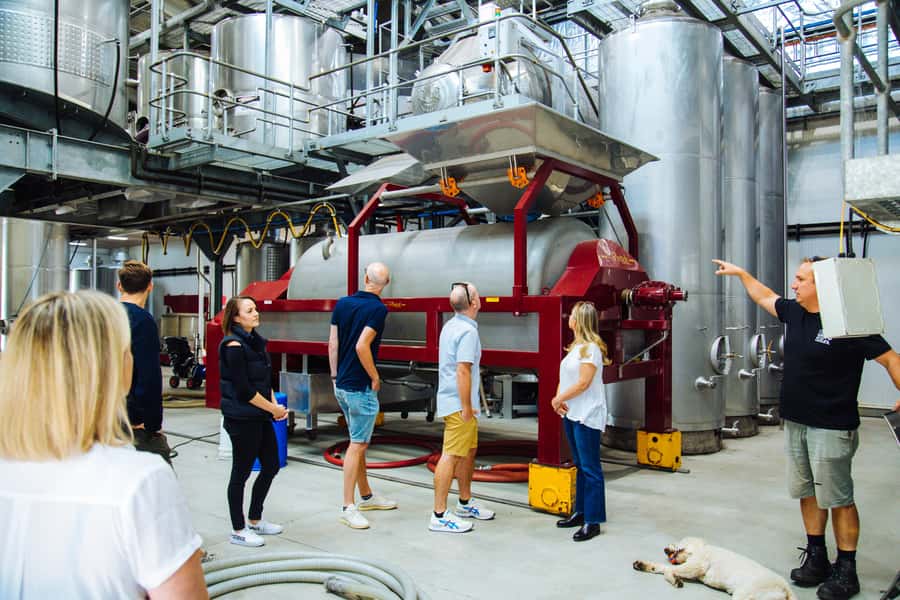 Hunter Valley: Wine, Spirits, and Cheese Tour with Lunch - Who will enjoy this Hunter Valley day?