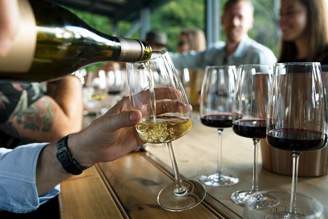 Hunter Valley Wine Tour ex Hunter Valley - Lunch, Cheese, Chocolate, Distillery - Price and overall value at $192.94