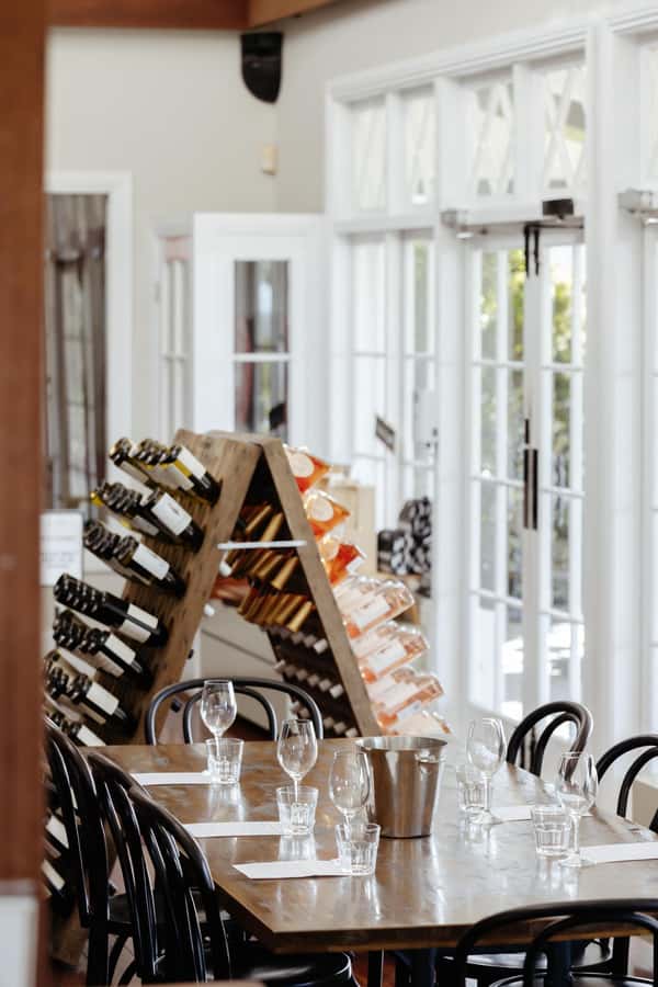 Hunter Valley: Wine Tour with 2-Course Lunch, Choc & Cheese - Mount Pleasant and a rare Pinot Noir tasting