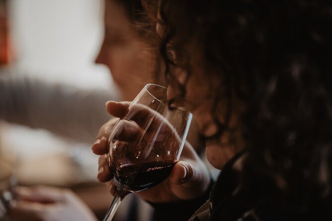 Introduction to Bordeaux wines paired with cheeses & charcuterie - Timing, comfort, and practical details