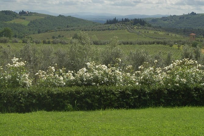 Journey through Italian Cheese - Who should book this Florence tasting