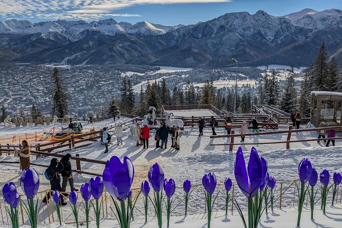 Krakow Zakopane Cable Car Vodka Cheese and Hot Springs Tour - The cheese and vodka tasting