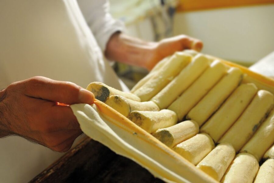 Lake Como: Cheese Factory Tour and Tasting in Valsassina - Arriving at Carozzi Formaggi