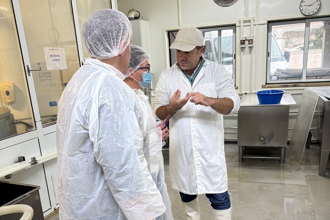 Lisbon Cheese Factory Visit, Wine Tasting and Tile Painting Tour - A full day built around Portugal’s everyday culture