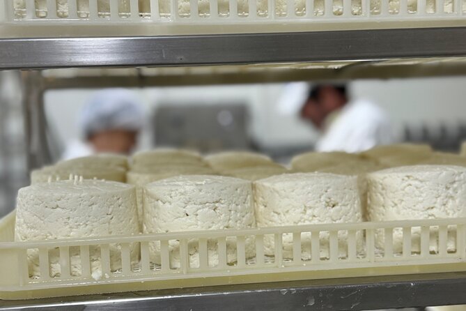Lisbon Cheese Factory Visit, Wine Tasting and Tile Painting Tour - What the private format is worth
