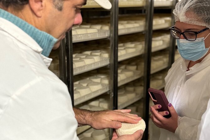 Lisbon Cheese Factory Visit, Wine Tasting and Tile Painting Tour - Who will enjoy this day most