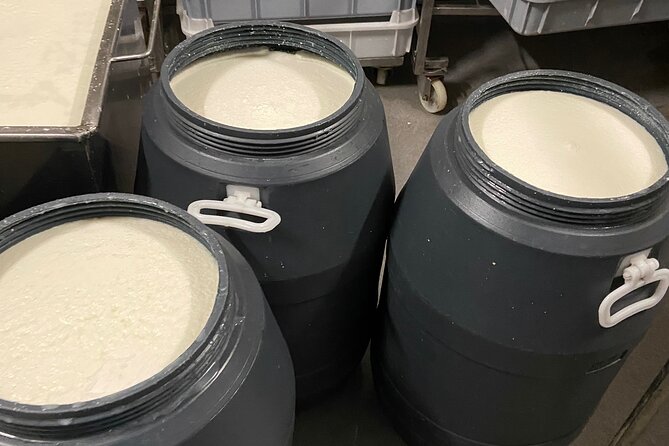 Lisbon Cheese Factory Visit, Wine Tasting and Tile Painting Tour - Four wines, four cheeses, and extra surprises