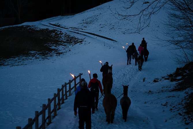 Llama hike with homemade, traditional cheese fondue - Is $99.90 a fair price?