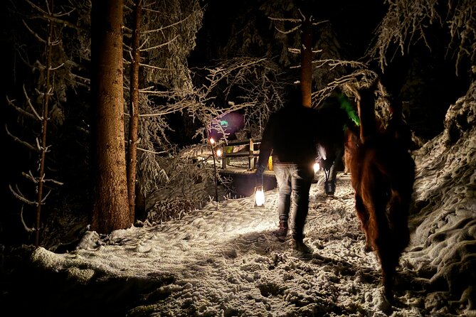 Llama hike with homemade, traditional cheese fondue - Who will enjoy this evening most?