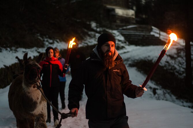 Llama hike with homemade, traditional cheese fondue - What the guides add to the animal encounter