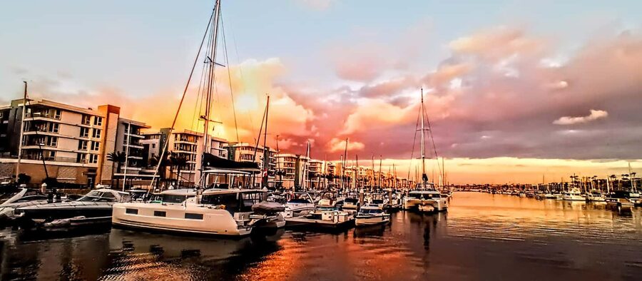 Los Angeles #1: Luxury Boat Cruise-Wine, Cheese & Sea Lions - Wine, charcuterie, and the fine print on food
