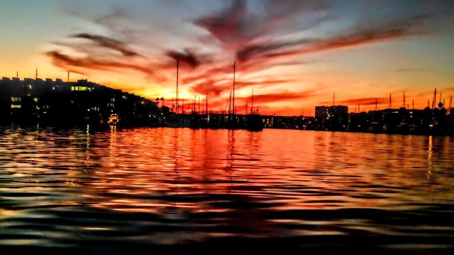Los Angeles #1: Luxury Boat Cruise-Wine, Cheese & Sea Lions - Is $149 a fair price?