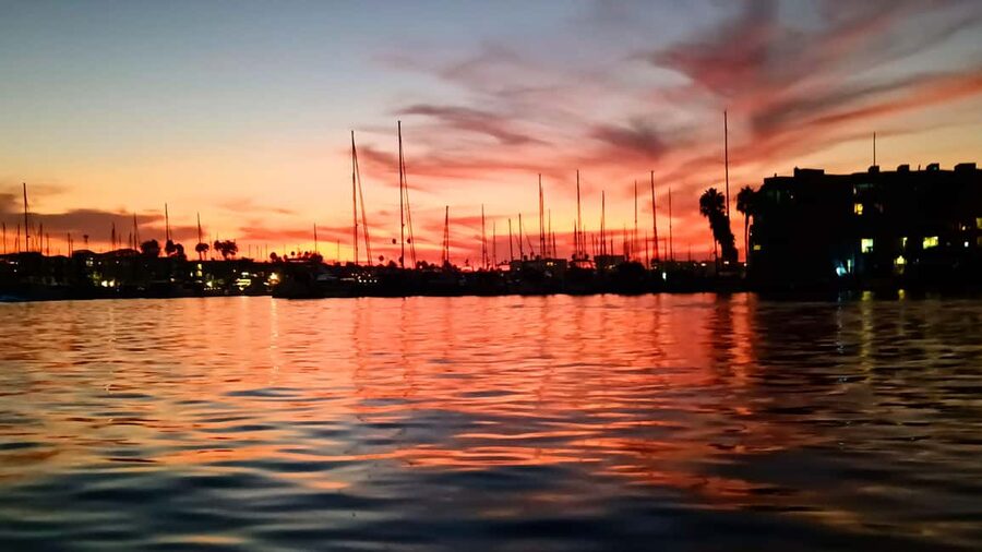 Los Angeles #1: Luxury Boat Cruise-Wine, Cheese & Sea Lions - Who will enjoy this cruise most