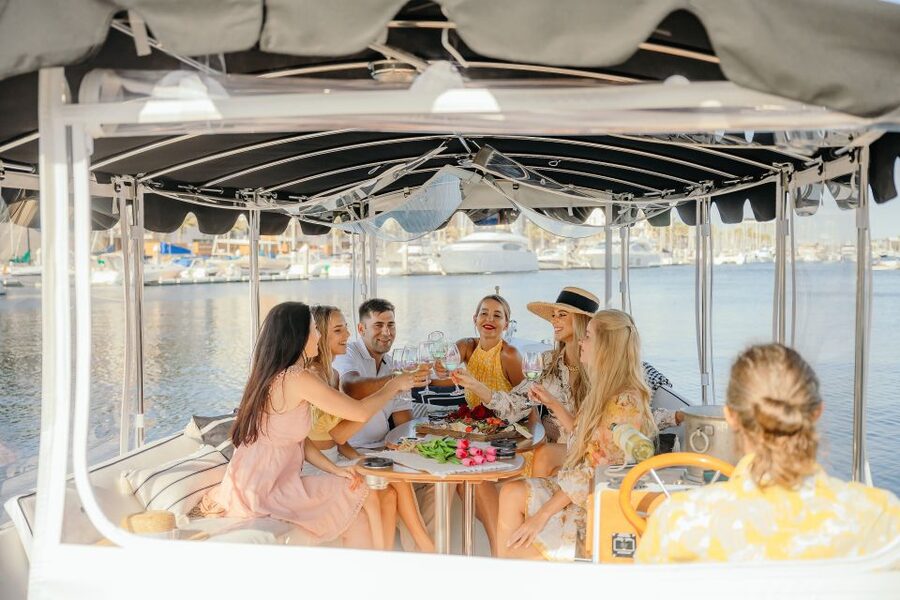 Los Angeles: Luxury Cruise with Wine, Cheese & Sea Lions - A quiet way to see Marina del Rey
