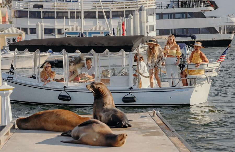 Los Angeles: Luxury Cruise with Wine, Cheese & Sea Lions - Sea lions, birds, and the pleasure of waiting