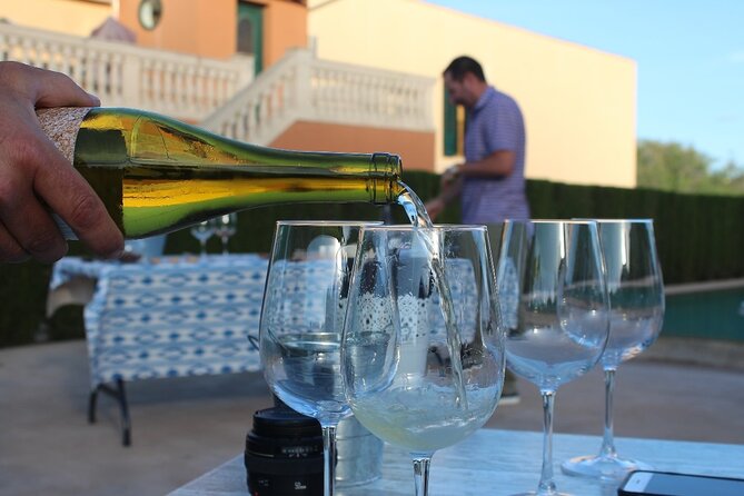 Mallorca Wine and Cheese Tasting - Port d’Alcudia at 5 pm