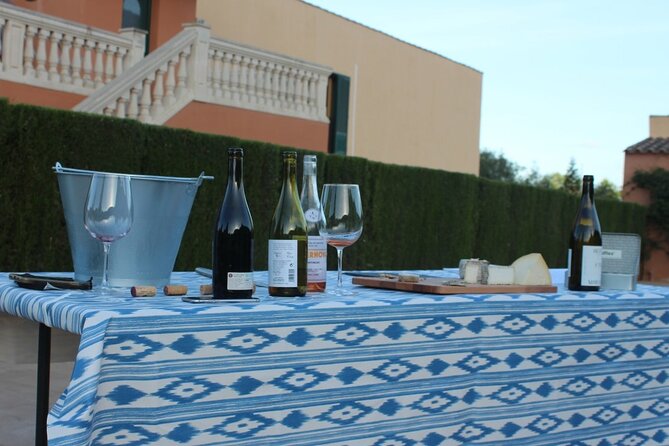 Mallorca Wine and Cheese Tasting - What the two-hour itinerary feels like