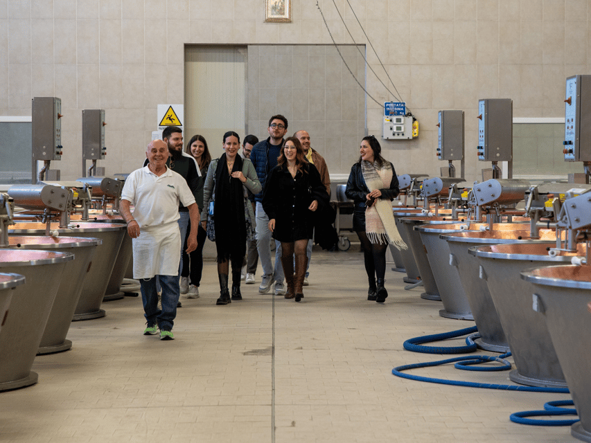 Maranello: Parmesan Factory Tasting & Tour near Modena - What the guides add to the visit
