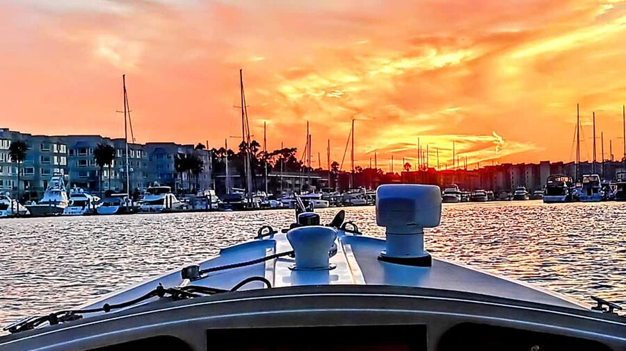 Marina Del Rey: Romantic Cruise, Wine, Cheese, Sealions - Wine, charcuterie, and the food details