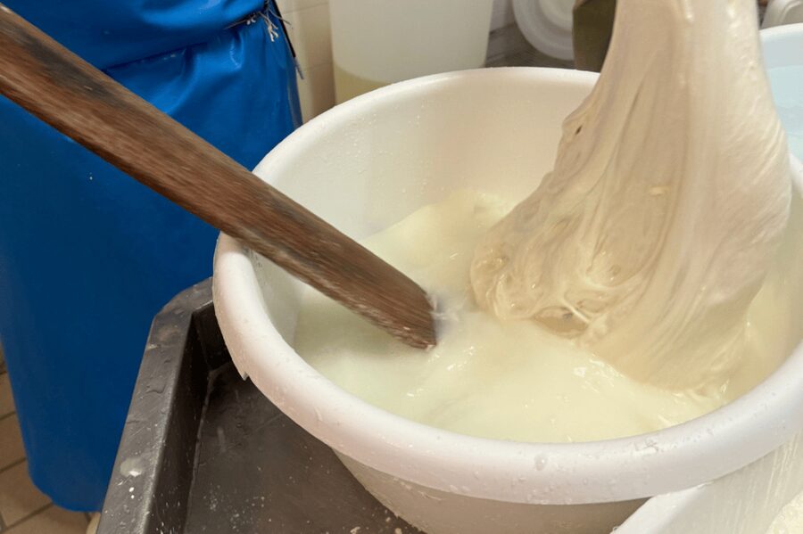 Martina Franca: Mozzarella and Pasta Workshop with Farm Tour - Choosing the food tasting