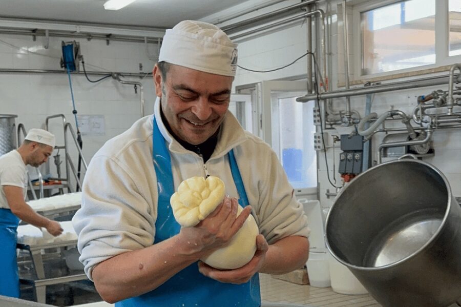 Martina Franca: Mozzarella and Pasta Workshop with Farm Tour - Starting with animals and sustainable farming