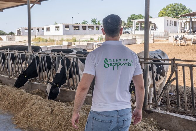 Masseria Seppunisi Tour - Mozzarella and Burrata experience - Who will enjoy this experience most?