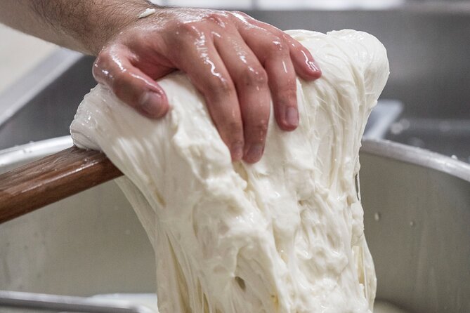 Masseria Seppunisi Tour - Mozzarella and Burrata experience - Meeting the people behind the cheese