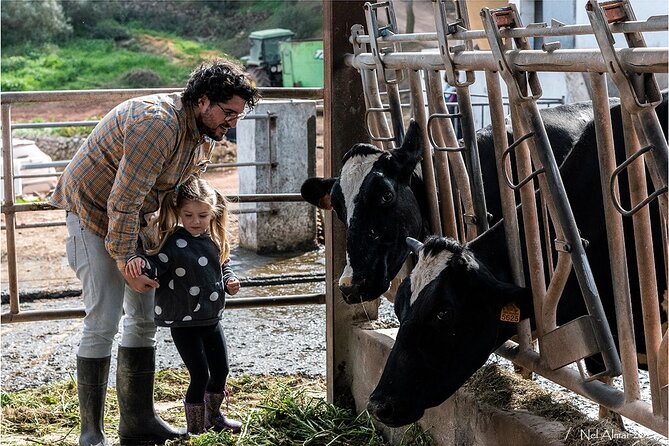 Menorca: Cheesemaking and Farm-Fresh Product Tasting - Making Mahon cheese in the production room