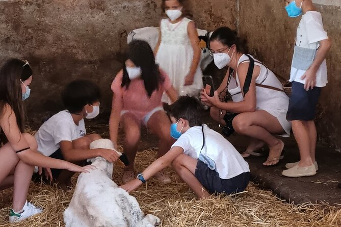 Menorca: Cheesemaking and Farm-Fresh Product Tasting - A good choice for children, with enough for adults