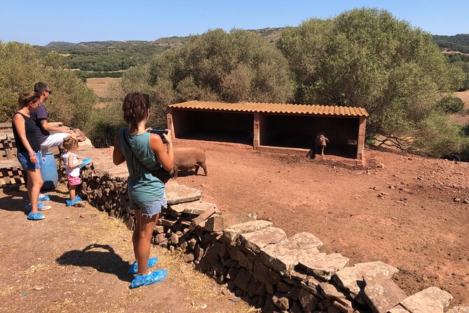 Menorca: Cheesemaking and Farm-Fresh Product Tasting - Should you book the Menorca cheesemaking tour?