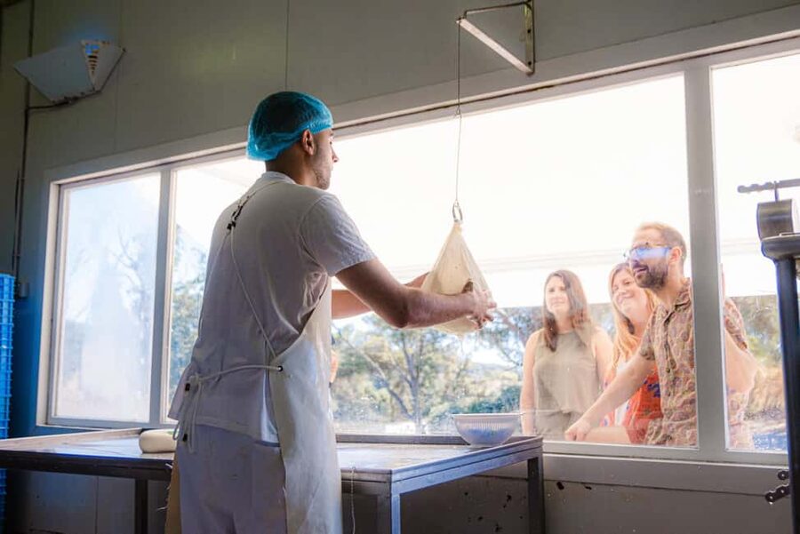 Menorca: Guided visit to the Subaida cheese factory, - Key points to know before you book