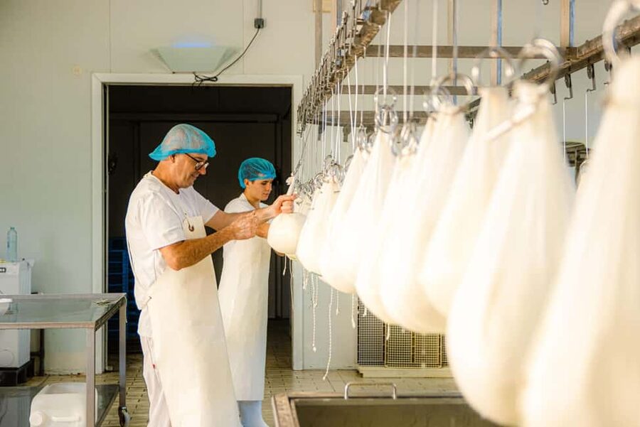 Menorca: Guided visit to the Subaida cheese factory, - Watching Mahón-Menorca cheese take shape
