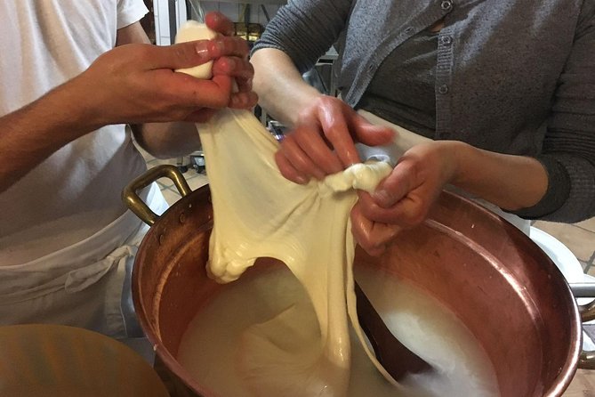 Milk the Cow & Make Mozzarella and Gnocchi with Our Family - The cow-to-mozzarella lesson