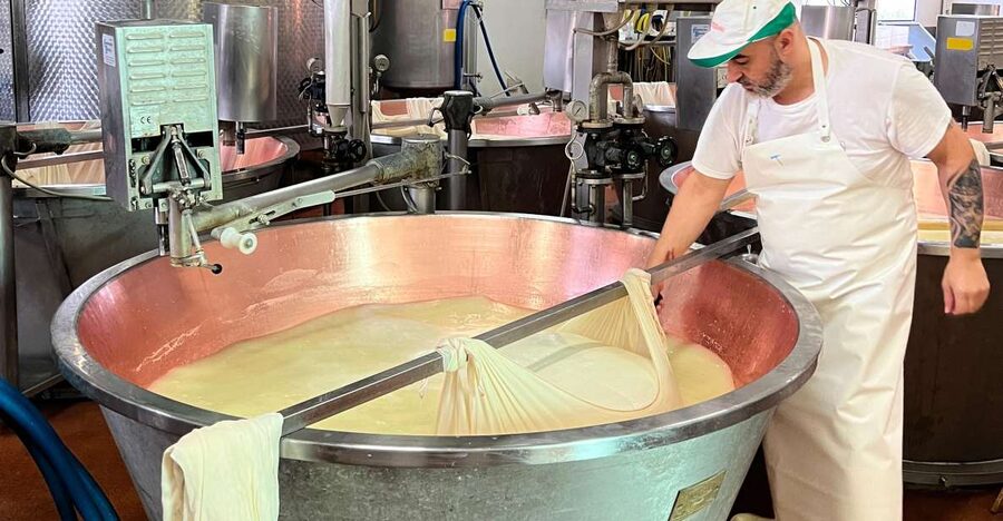 Modena/Bologna: Ferrari, Lambo, Cheese, Vinegar Tour w/Lunch - Traditional balsamic vinegar in a Modena farmhouse