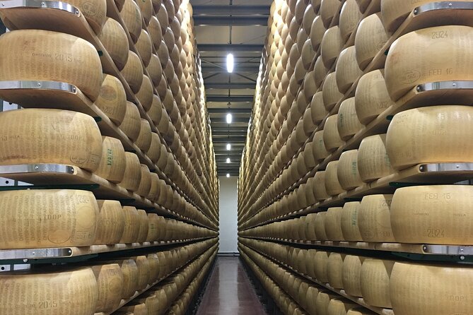 Modena Food:Prosciutto,Parmigiano,Balsamic,Wine,Lunch,Transport - Wine and local traditions at Gavioli Antica Cantina