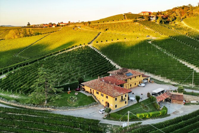 Monforte d'Alba: wine and cheese experience - Is 90 minutes enough?