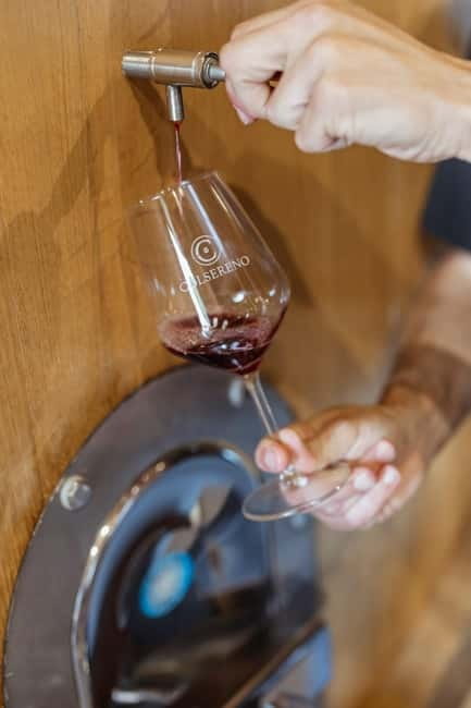 MONTALCINO : Wine Tasting with Tuscan Cold Cuts and Cheese - The vineyard walk and Brunello country