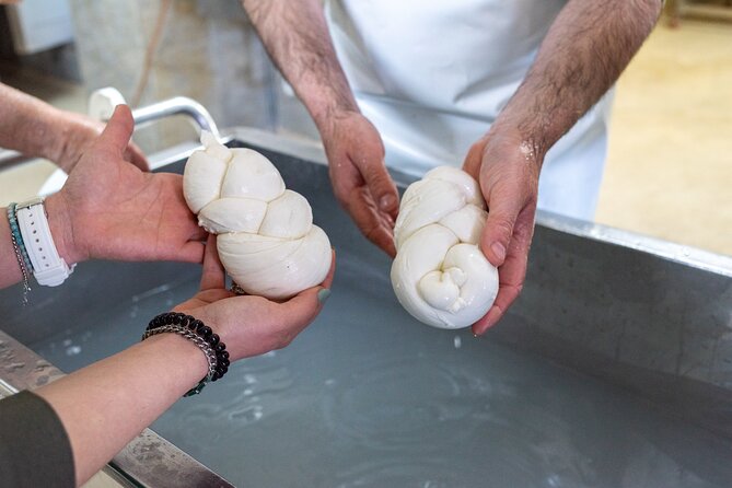 Mozzarella Experience and tasting in Naples - How the two and a half hours are likely to feel