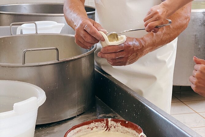 Mozzarella Experience - Cheese Tour and tastings to Masseria Fragnite - The Biggest Practical Issue: Getting There