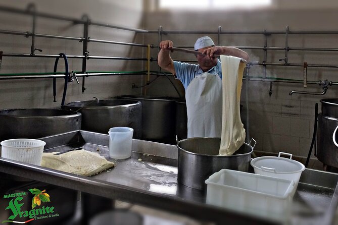Mozzarella Experience - Cheese Tour and tastings to Masseria Fragnite - Meeting the Cows and Calves