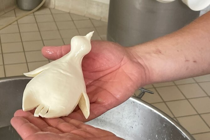 Mozzarella Experience with Tasting in Vico Equense - Angela and Antonio make the visit personal