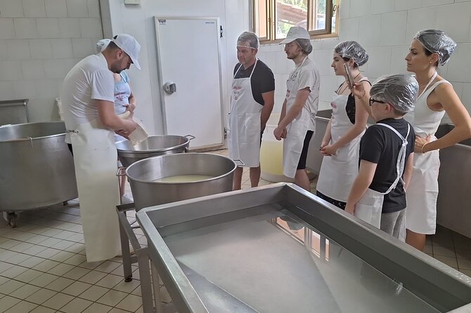 Mozzarella Experience with Tasting in Vico Equense - A good choice for families and private groups