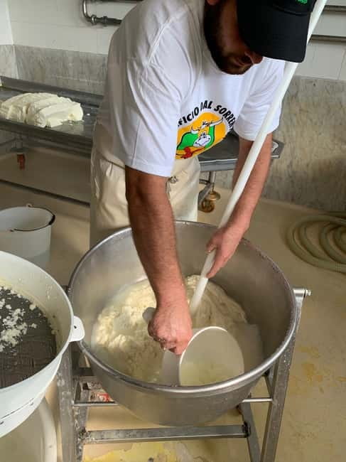 Naples: Mozzarella Experience, Taste of Southern Italy - Inside the cheese factory