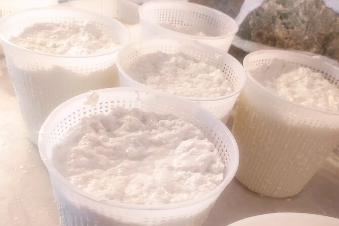 Naxos Farm Experience and cheese making - Who will enjoy this farm experience most