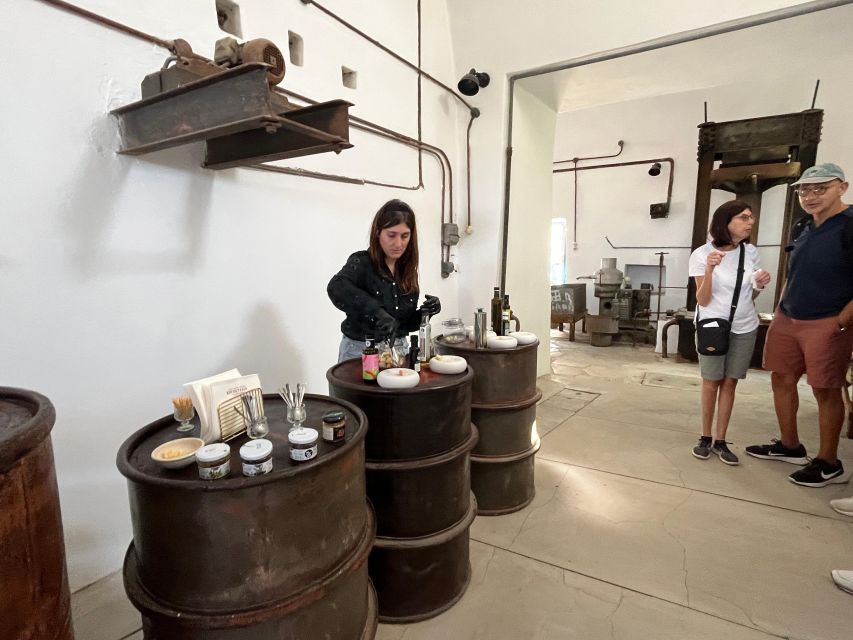 Naxos: Myths & Ancient Sites with Cheese and Wine Tasting - Key points to know before booking