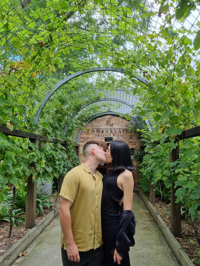 Newcastle: Hunter Valley Wine, Gin, Cheese & Chocolate Tour - A seven-hour taste of the Hunter Valley