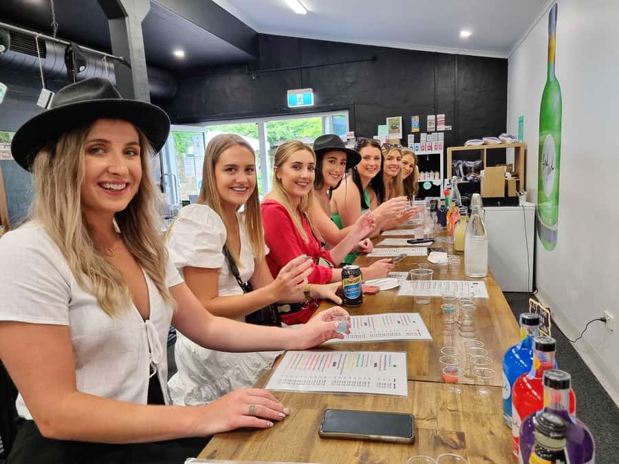 Newcastle: Hunter Valley Wine, Gin, Cheese & Chocolate Tour - The first vineyard sets the tone