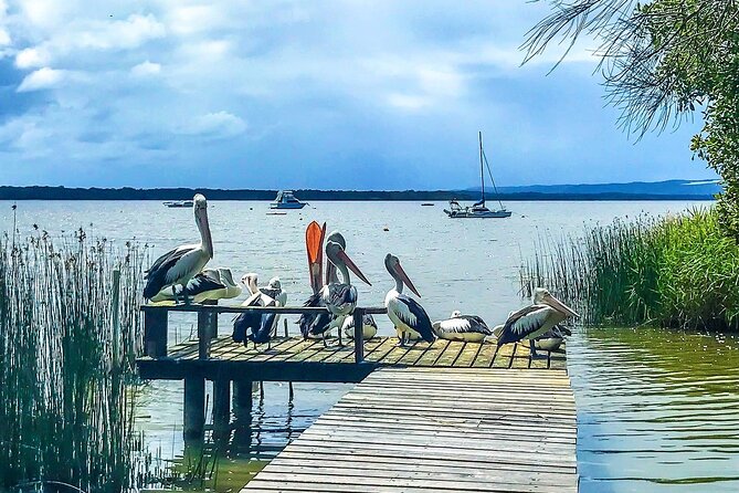 Noosa Hinterland Tour with Lunch, Wine & Cheese Tasting & more - Pomona gives the day its longest break