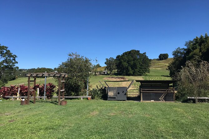 Noosa Hinterland Tour with Lunch, Wine & Cheese Tasting & more - Mead at Amrita Park offers something different